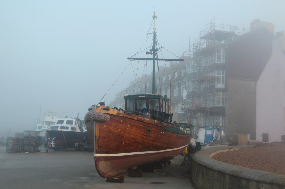 What We Saw When We Couldn’t&nbsp;See