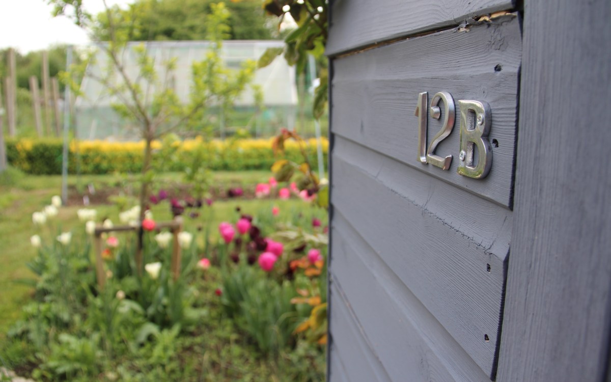 Marriage and Serial&nbsp;Monogamy